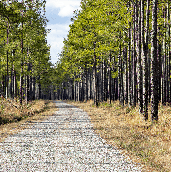 private landowners