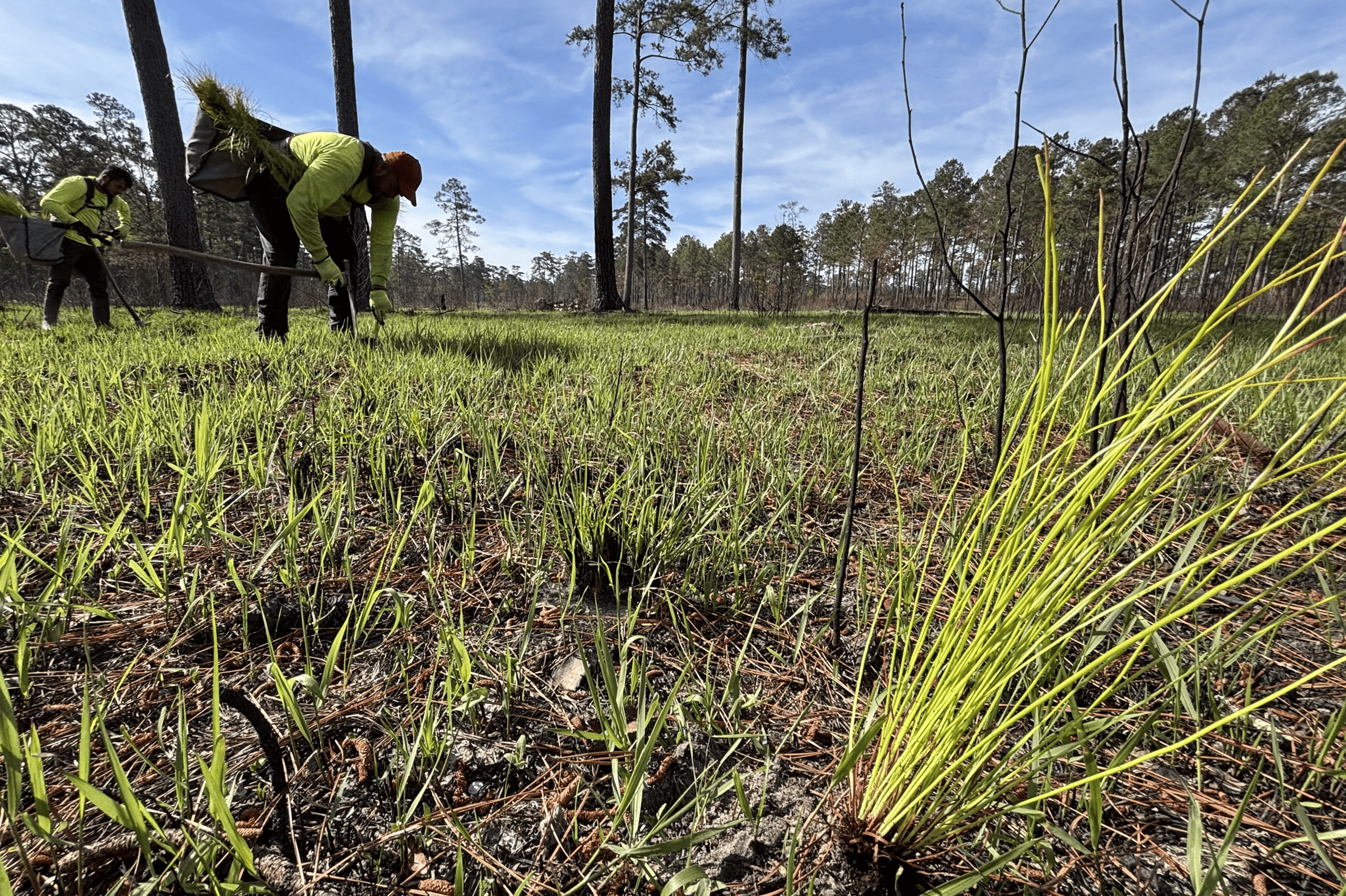 Stragegic Portfolio Land Management Plan